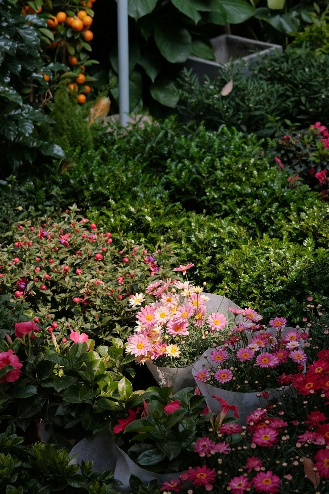 Kreinsberger Gartenbau 10
