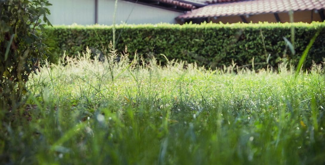 Kreinsberger Gartenbau 15