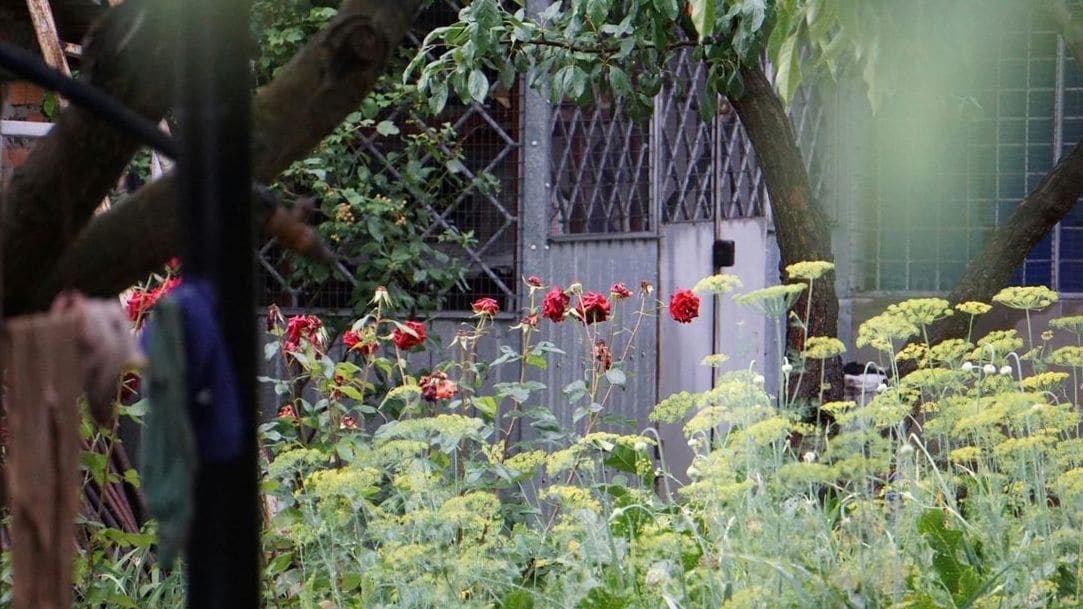 Kreinsberger Gartenbau 3