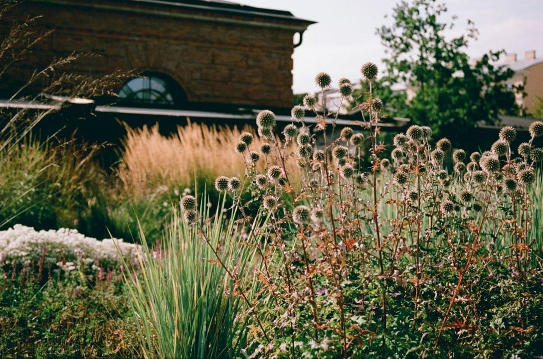 Kreinsberger Gartenbau 8